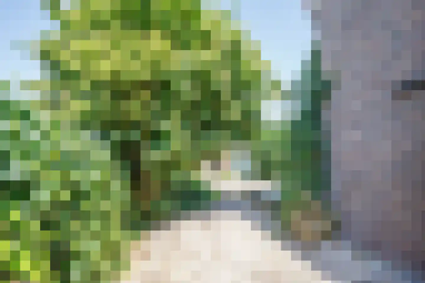 Wollefoppenweg 32 Zevenhuizen thumbnail 31