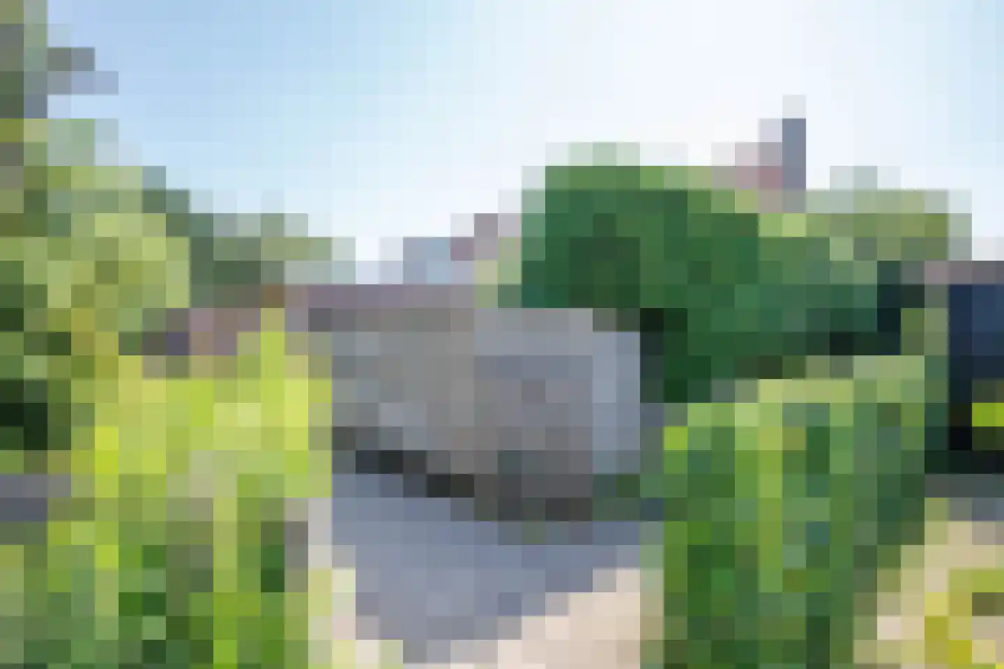 Wollefoppenweg 32 Zevenhuizen thumbnail 36