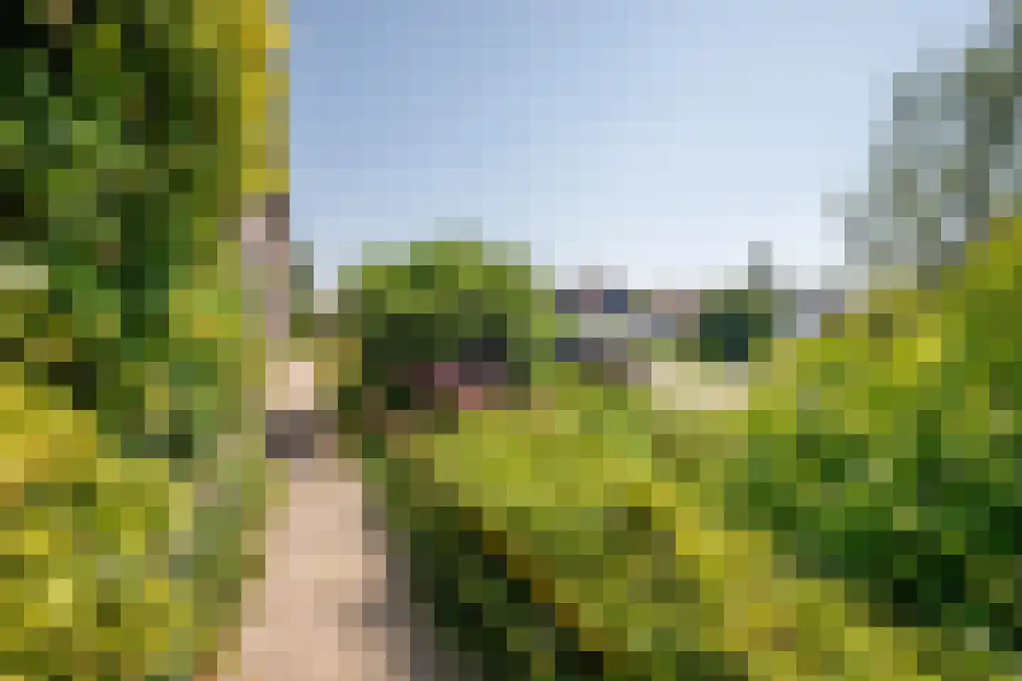 Wollefoppenweg 32 Zevenhuizen thumbnail 40