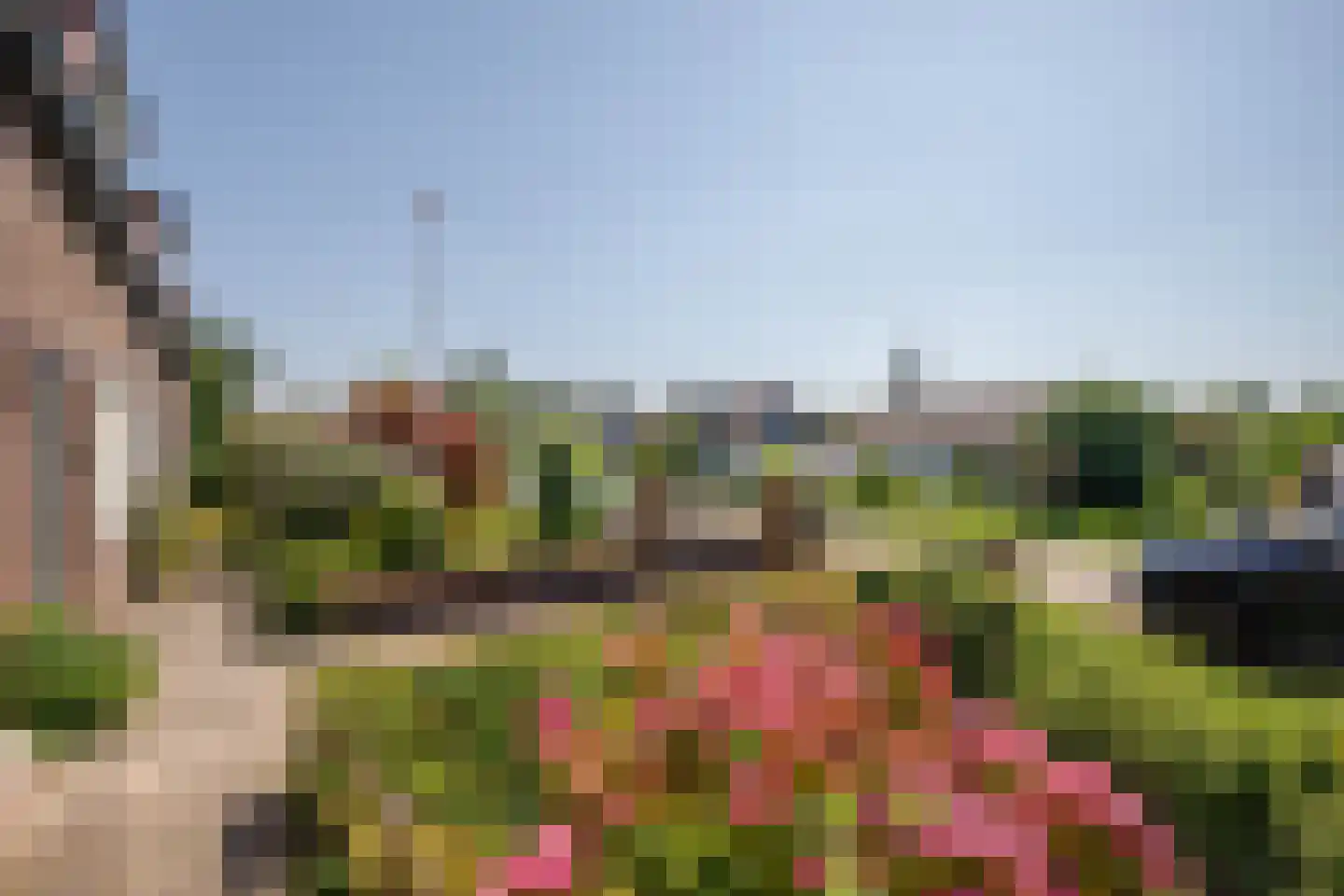 Wollefoppenweg 32 Zevenhuizen thumbnail 41