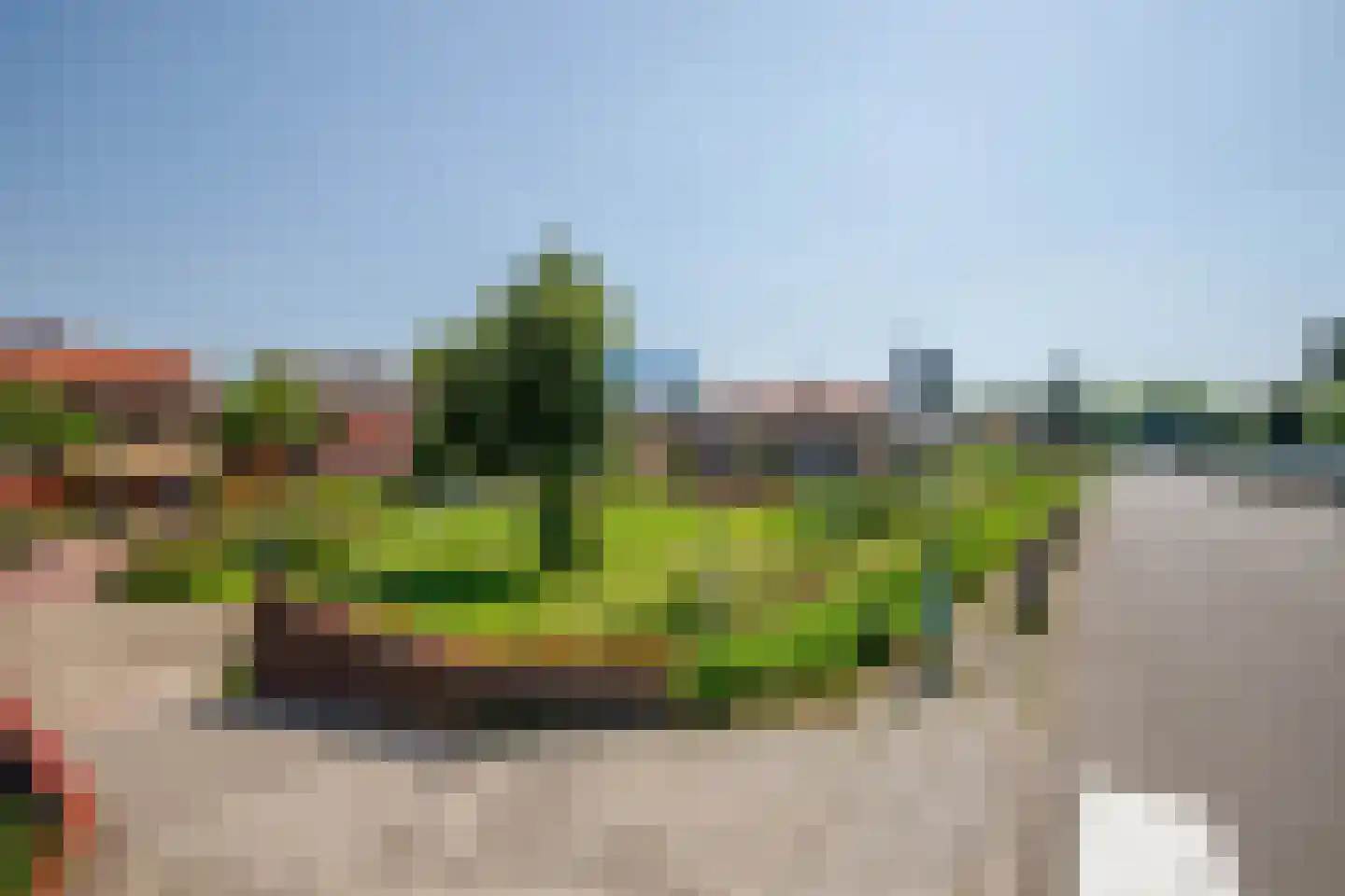 Wollefoppenweg 32 Zevenhuizen thumbnail 44