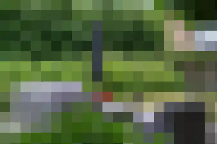 Wollefoppenweg 53 A Rotterdam thumbnail 33