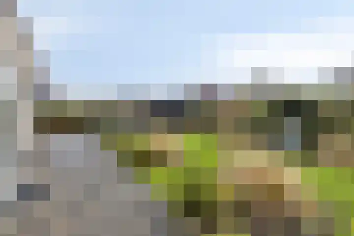 Wollefoppenweg 63 c Zevenhuizen thumbnail 25