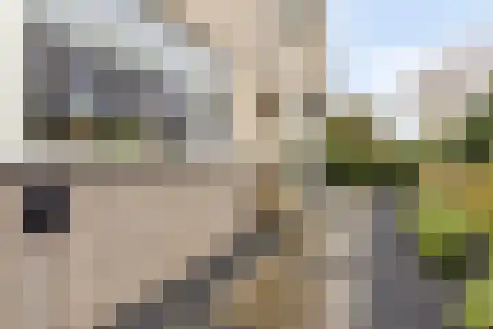 Wollefoppenweg 63 c Zevenhuizen thumbnail 28