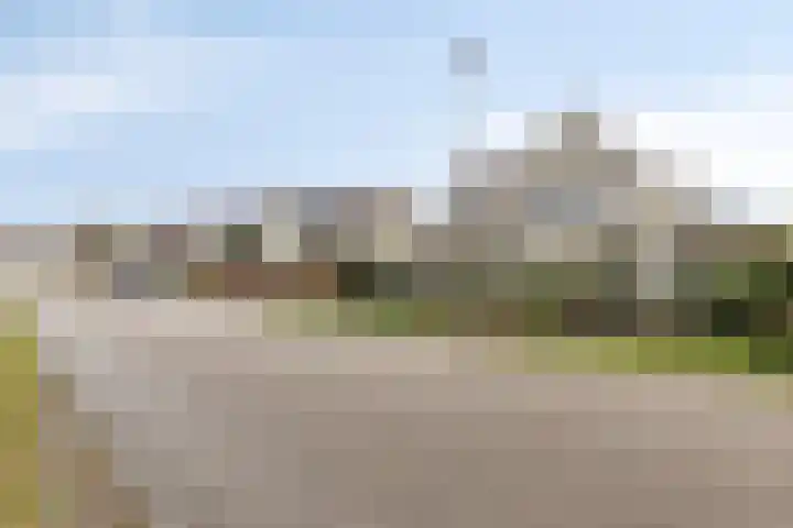 Wollefoppenweg 63 c Zevenhuizen thumbnail 30