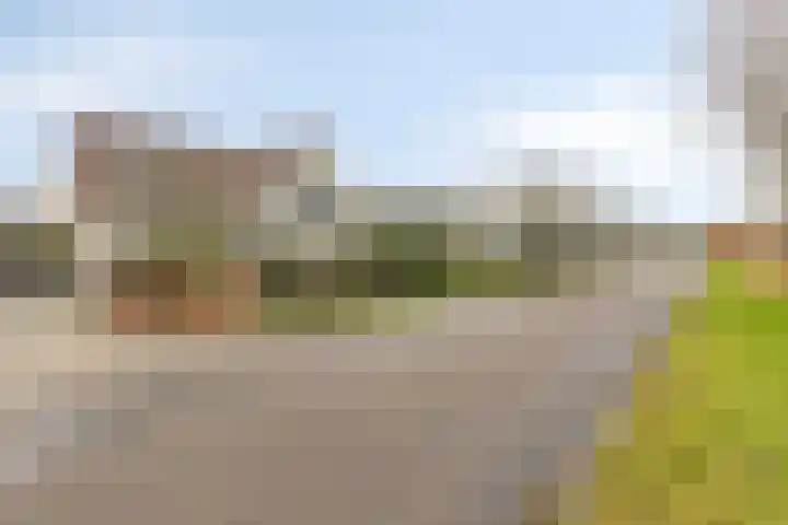Wollefoppenweg 63 c Zevenhuizen thumbnail 31