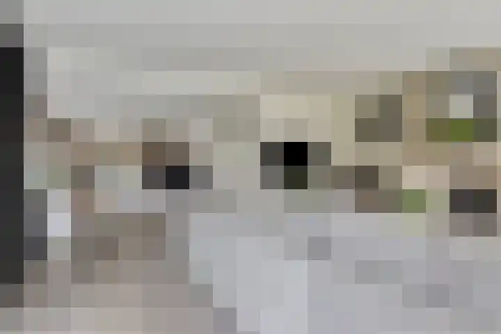 Wollefoppenweg 63 c Zevenhuizen thumbnail 7