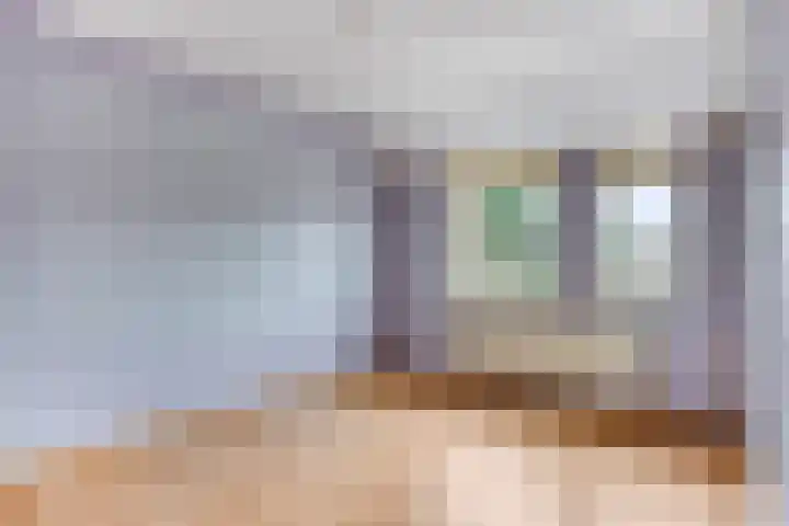 Wollegras 1 Deurne thumbnail 14
