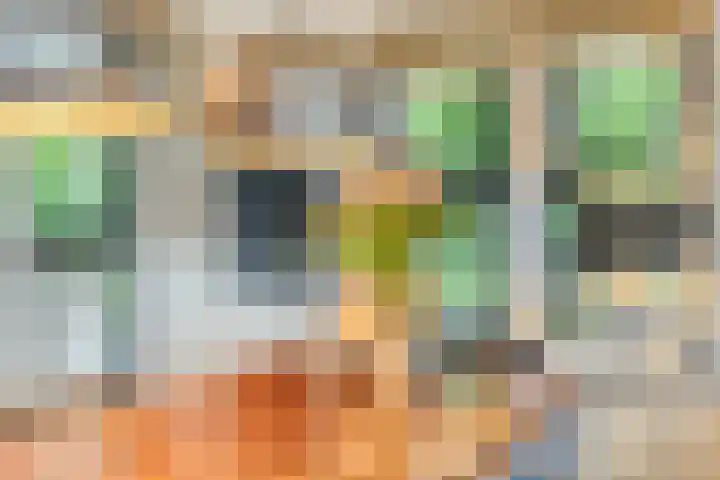 Wollegras 1 Deurne thumbnail 5
