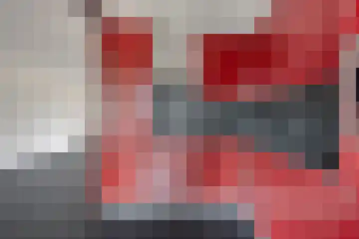 Wollegras 1 Deurne thumbnail 7