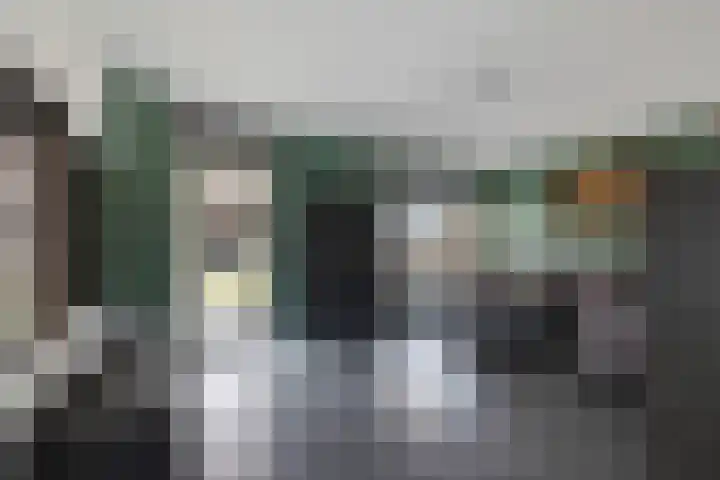 Wollegras 1 Emmen thumbnail 12