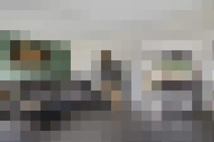 Wollegras 1 Emmen thumbnail 16
