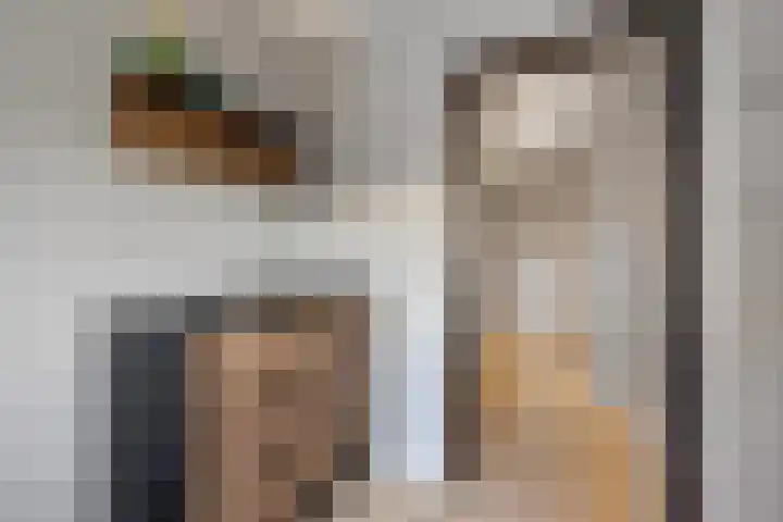 Wollegras 1 Emmen thumbnail 20