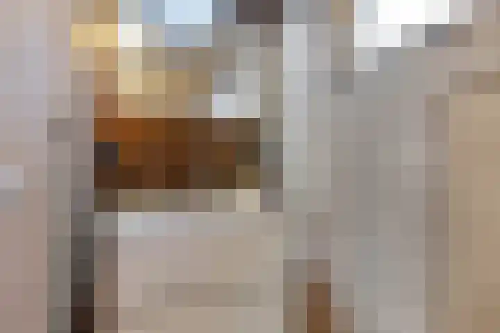 Wollegras 1 Emmen thumbnail 23