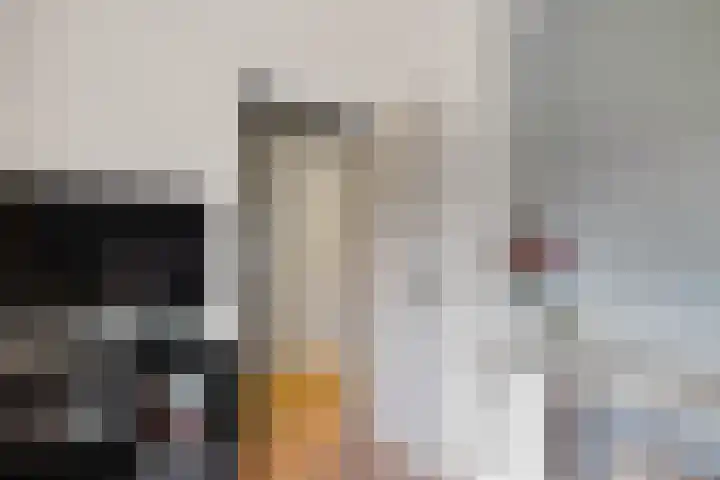 Wollegras 1 Emmen thumbnail 25