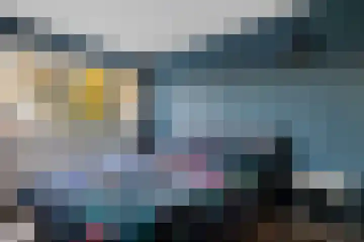 Wollegras 1 Emmen thumbnail 26