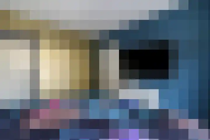 Wollegras 1 Emmen thumbnail 27