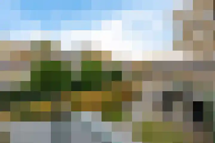 Wollegras 1 Emmen thumbnail 28