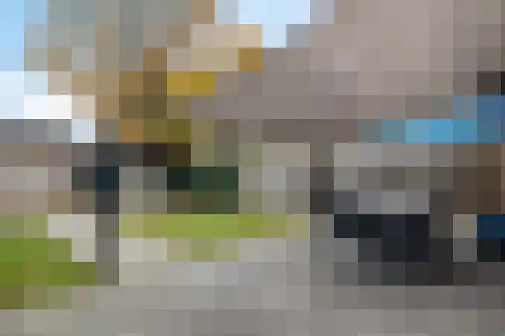 Wollegras 1 Emmen thumbnail 29