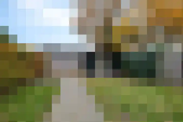 Wollegras 1 Emmen thumbnail 30