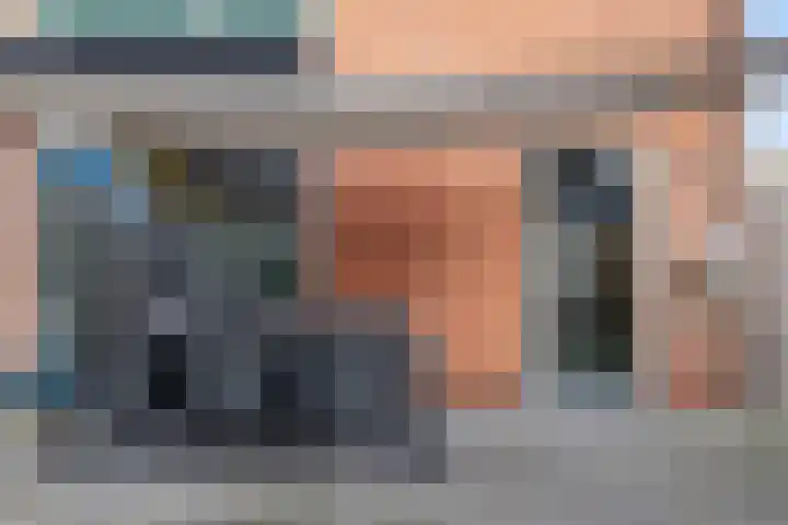 Wollegras 1 Emmen thumbnail 32