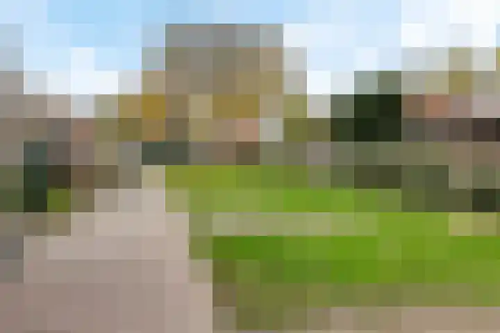 Wollegras 1 Emmen thumbnail 4