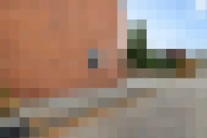 Wollegras 1 Emmen thumbnail 5