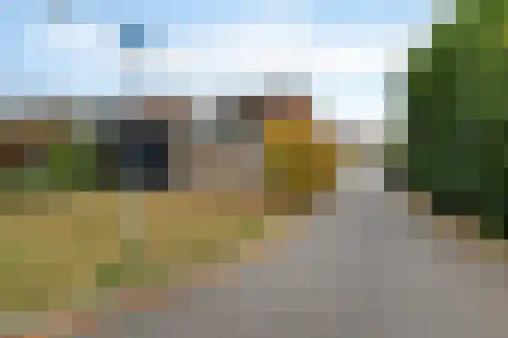 Wollegras 1 Emmen thumbnail 6