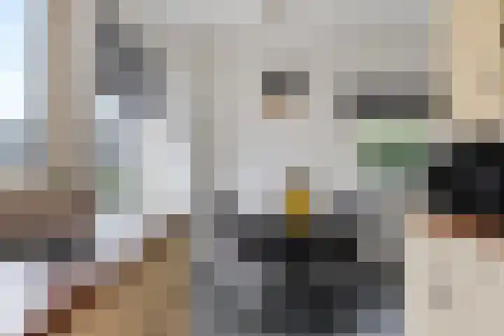 Wollegras 1 Emmen thumbnail 8