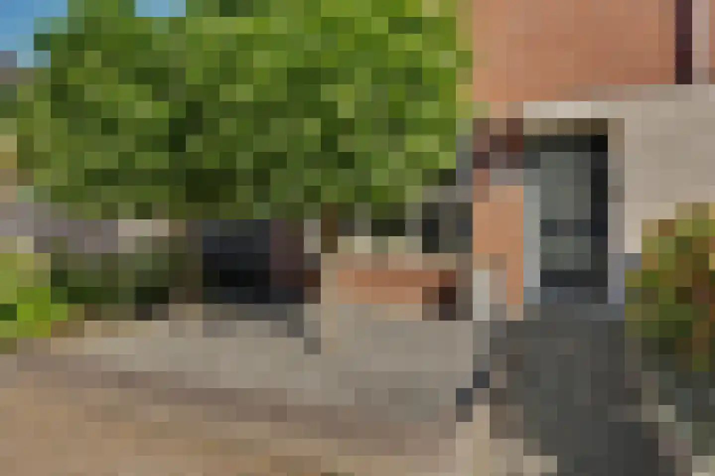 Wollegras 1 Reeuwijk thumbnail 10