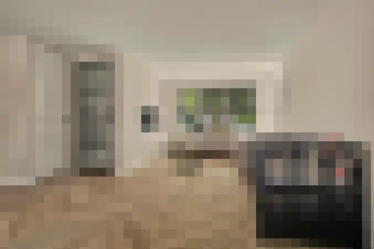 Wollegras 1 Reeuwijk thumbnail 14