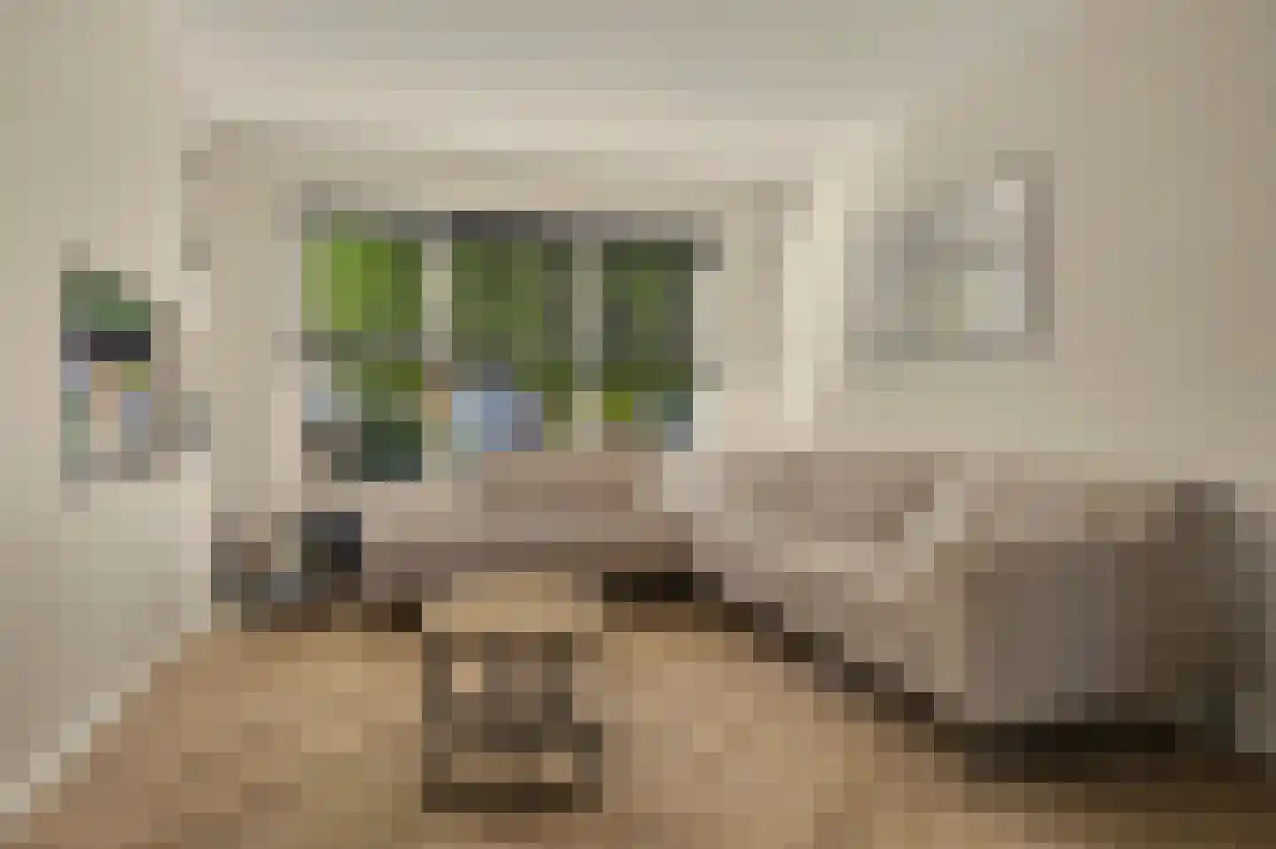 Wollegras 1 Reeuwijk thumbnail 15