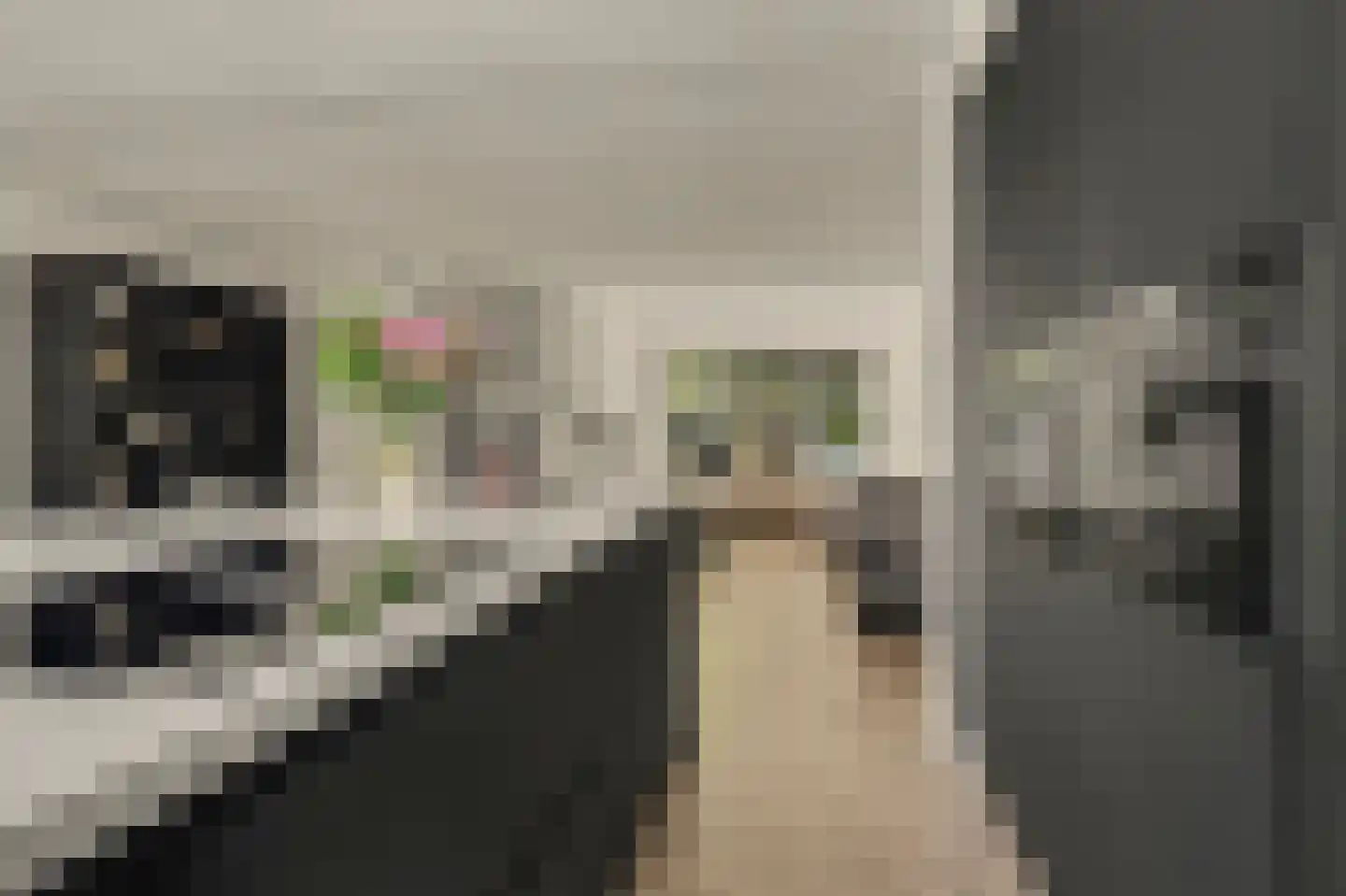 Wollegras 1 Reeuwijk thumbnail 19