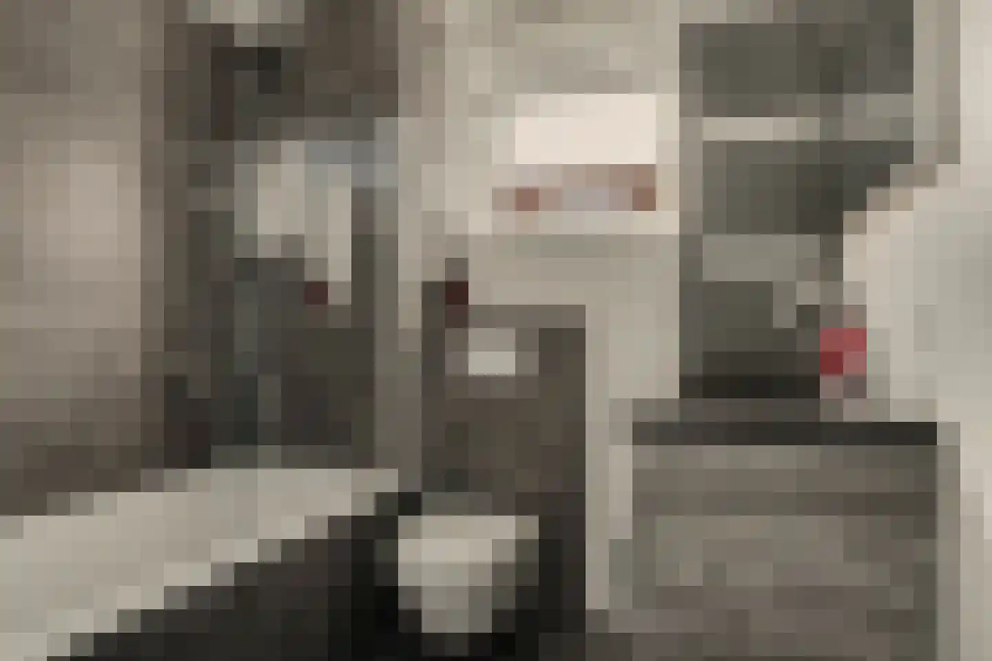 Wollegras 1 Reeuwijk thumbnail 32
