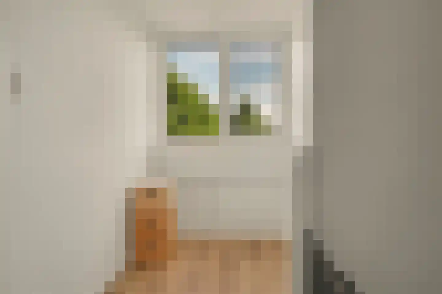 Wollegras 1 Reeuwijk thumbnail 35