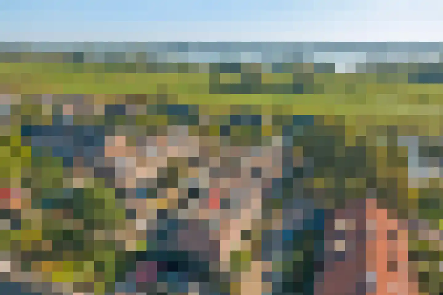 Wollegras 1 Reeuwijk thumbnail 4