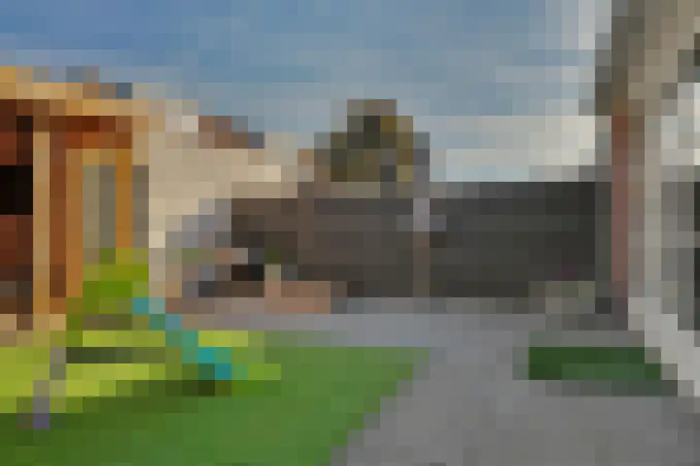 Wollegras 1 Reeuwijk thumbnail 43