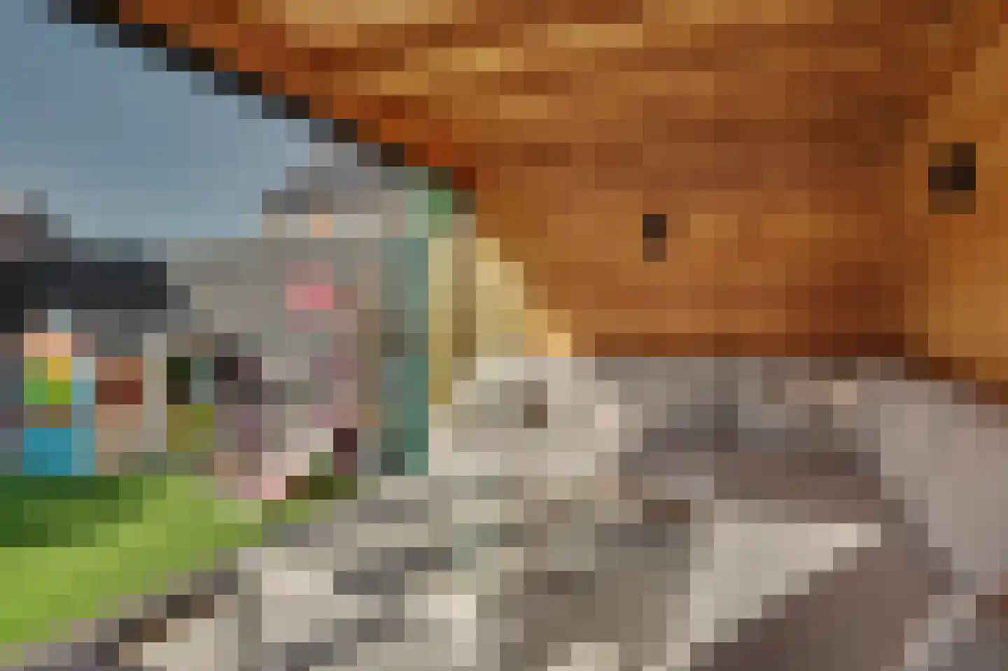 Wollegras 1 Reeuwijk thumbnail 46