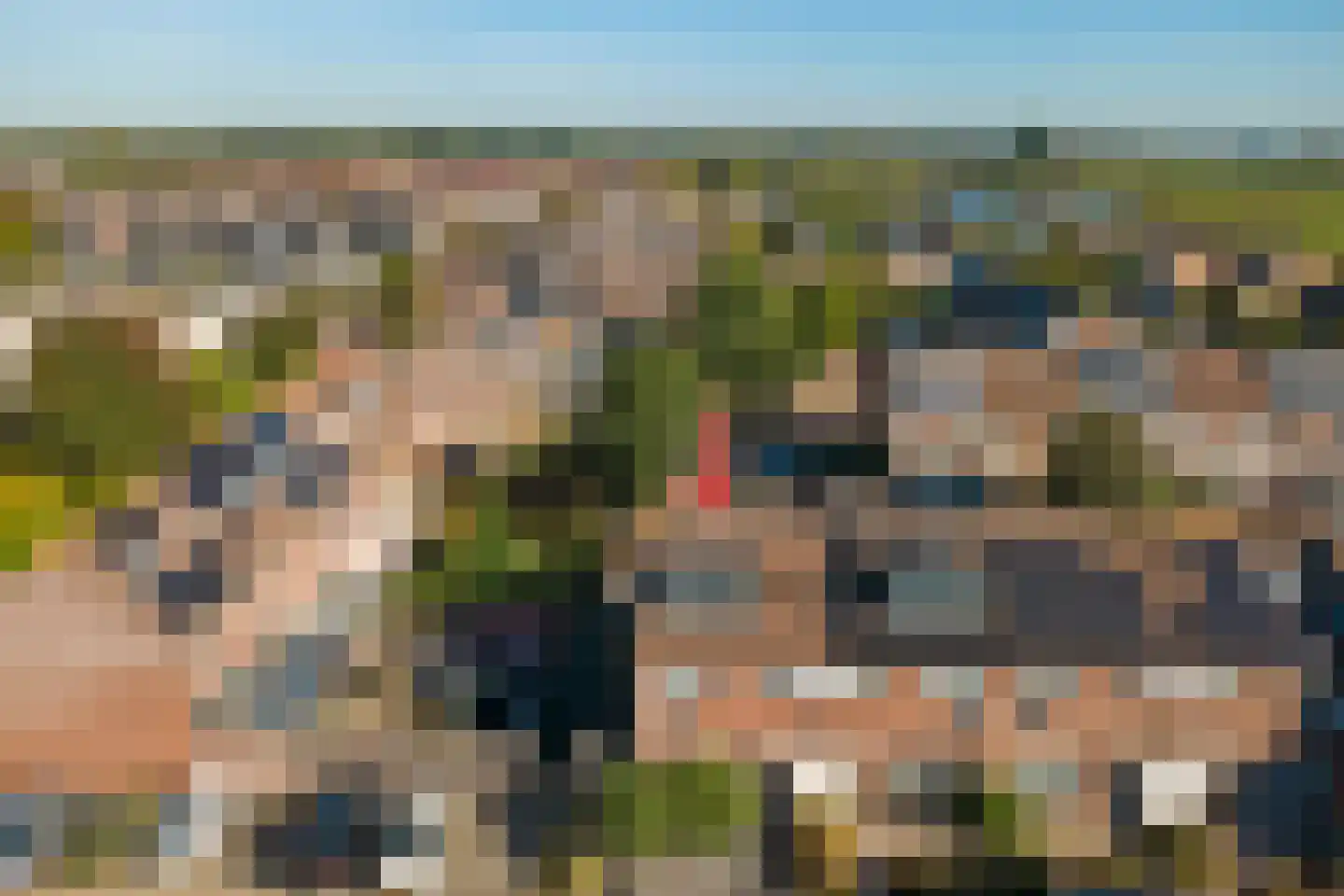 Wollegras 1 Reeuwijk thumbnail 49