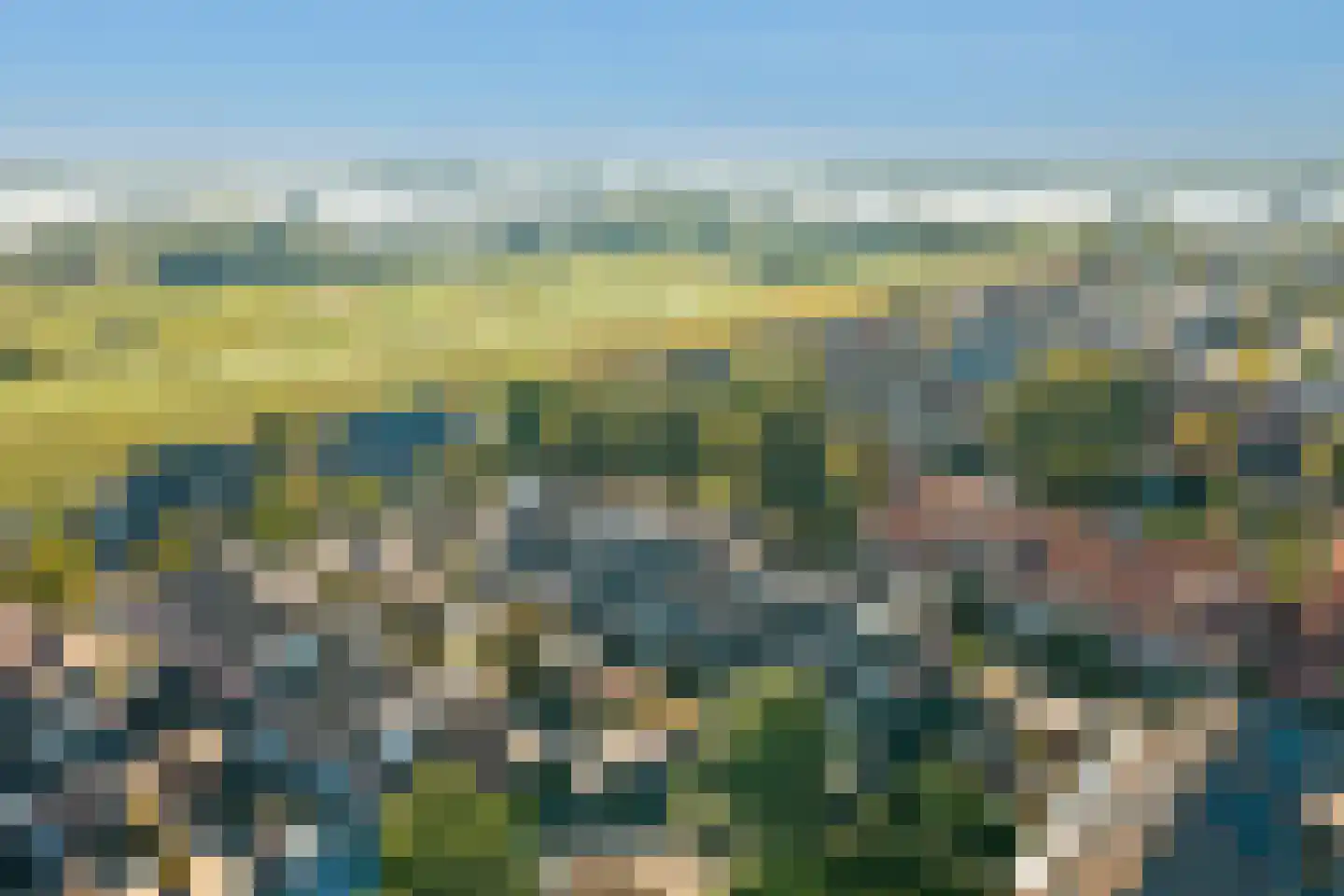 Wollegras 1 Reeuwijk thumbnail 50