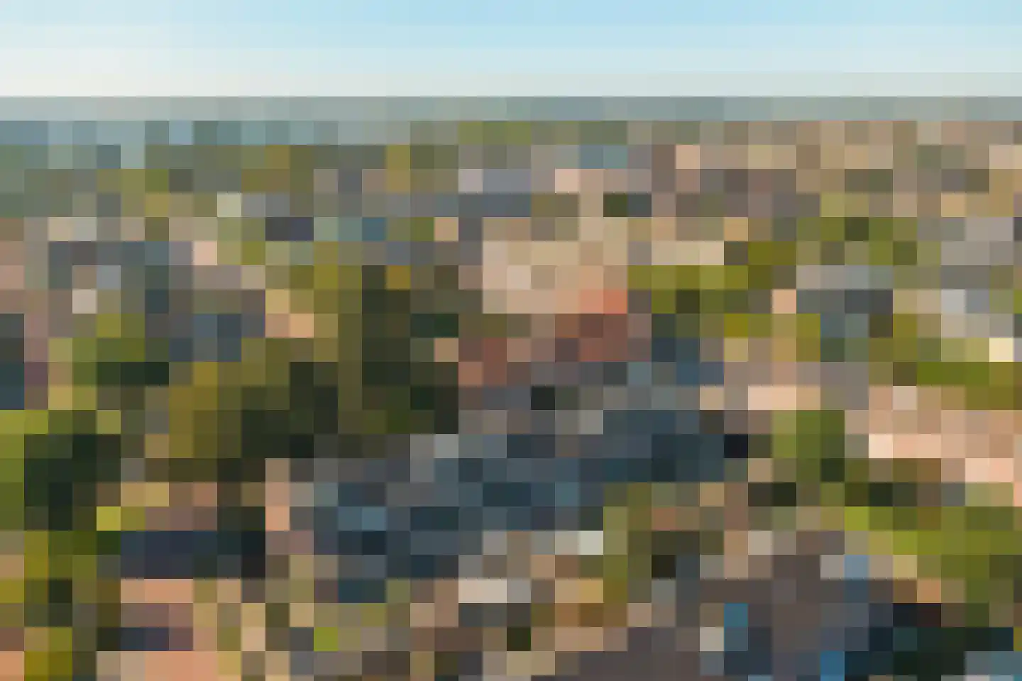 Wollegras 1 Reeuwijk thumbnail 51