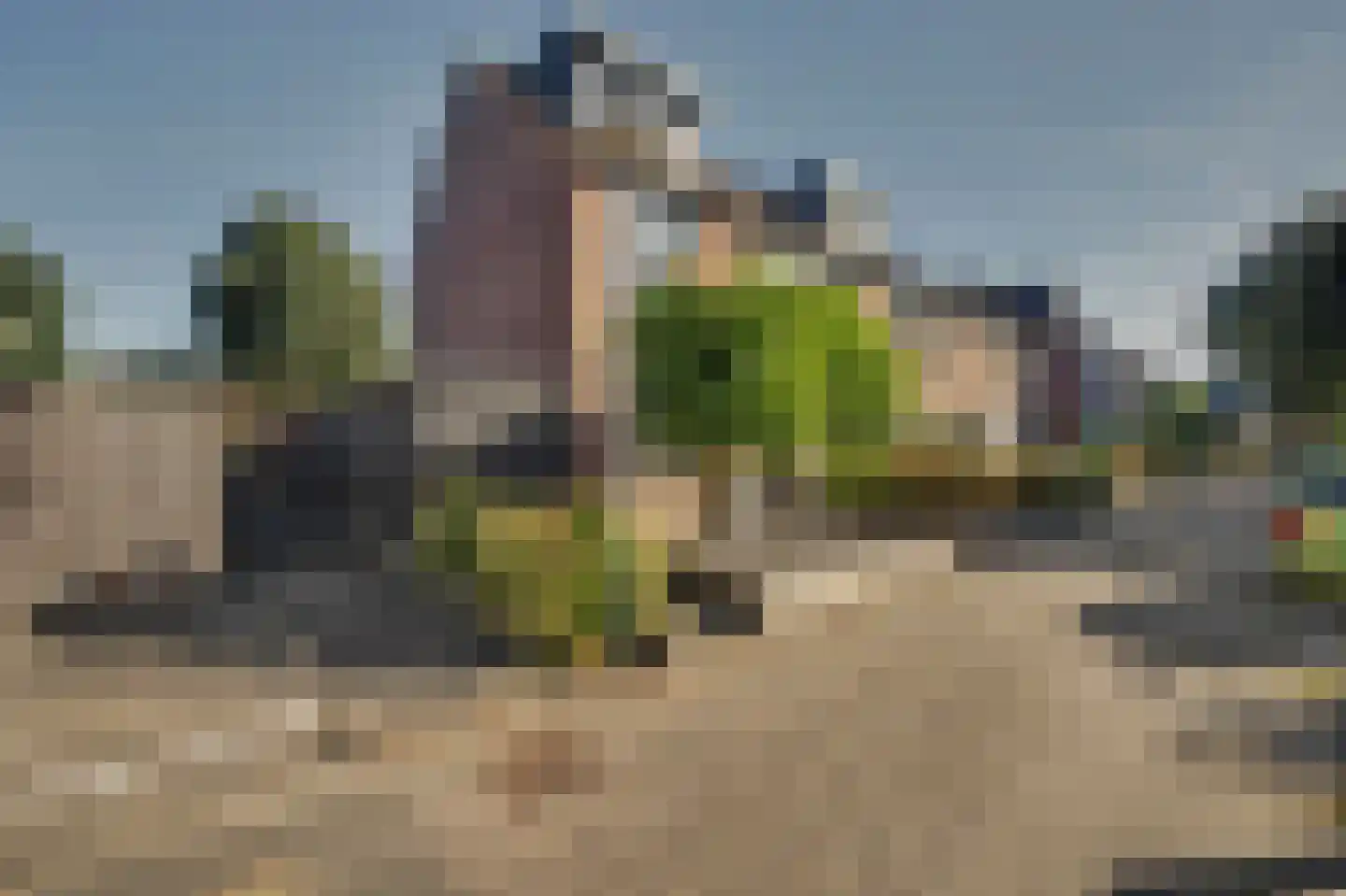Wollegras 1 Reeuwijk thumbnail 9