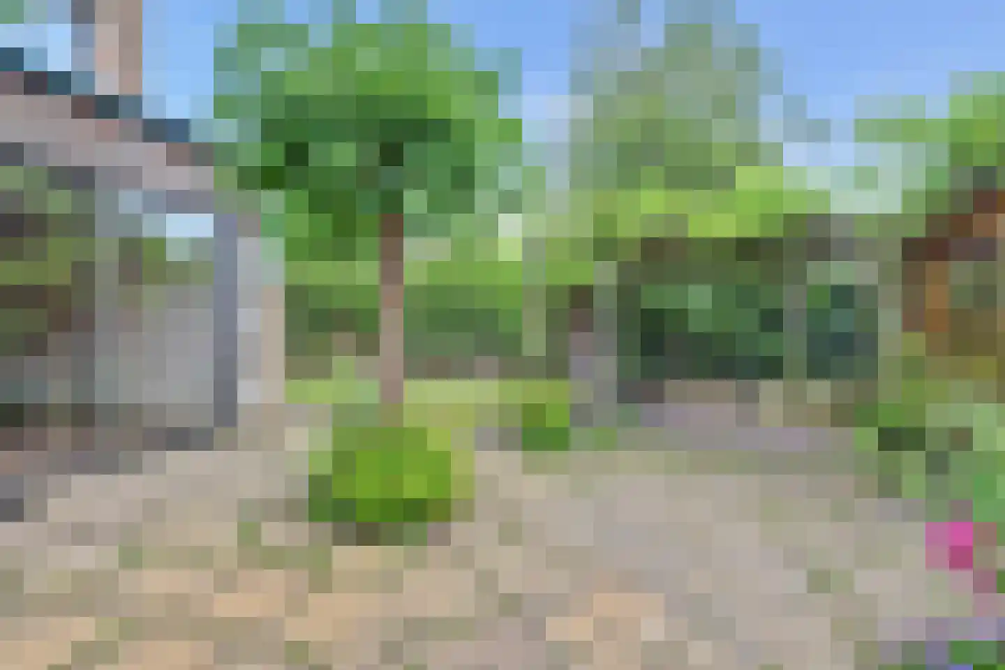 Wollegras 11 Zeewolde thumbnail 28