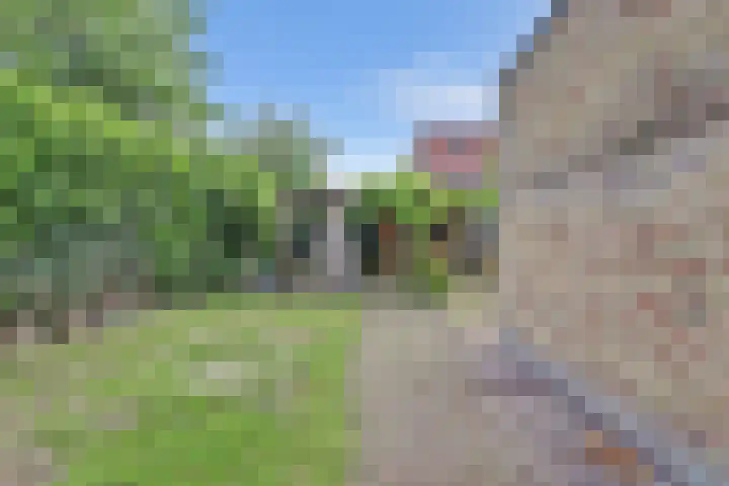 Wollegras 11 Zeewolde thumbnail 31