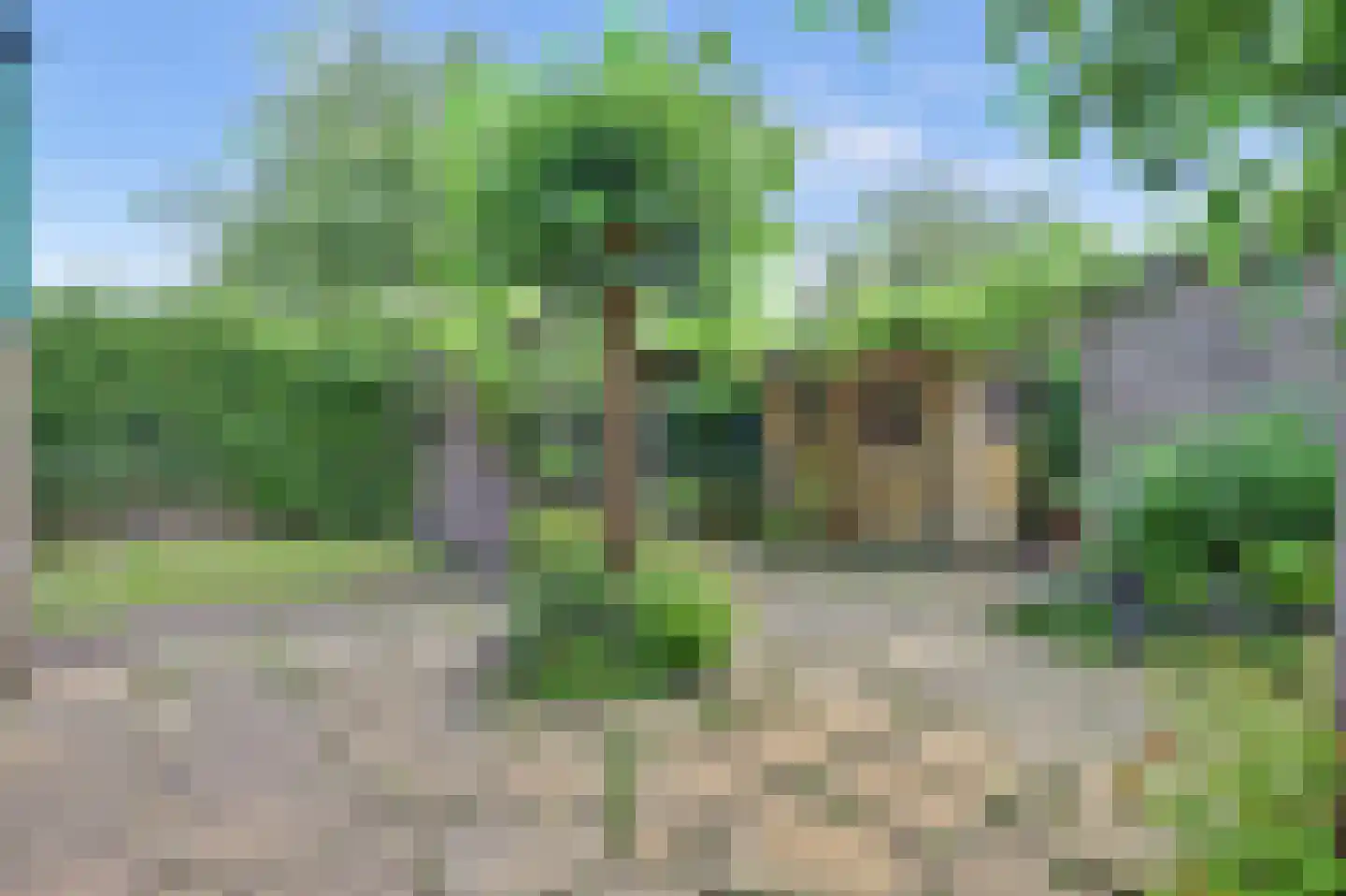 Wollegras 11 Zeewolde thumbnail 33