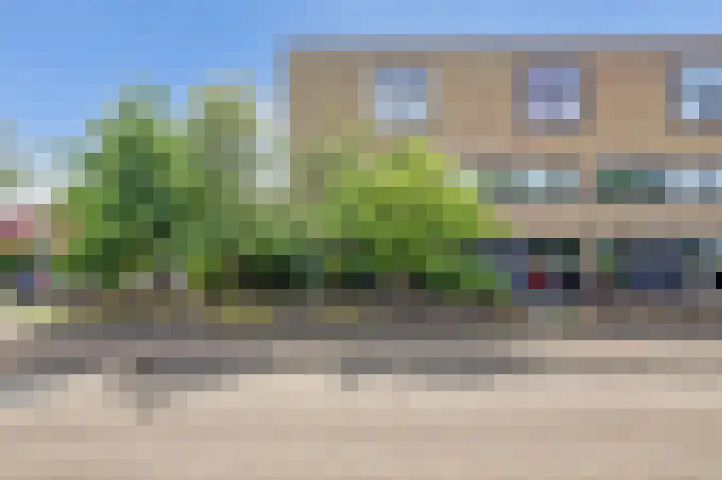 Wollegras 11 Zeewolde thumbnail 38