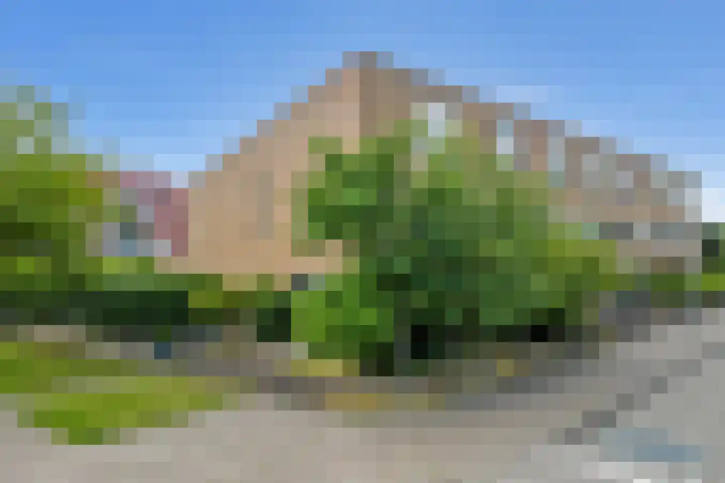 Wollegras 11 Zeewolde thumbnail 40
