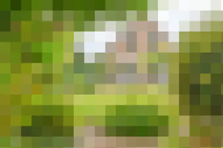 Wollegras 12 Valthermond thumbnail 52