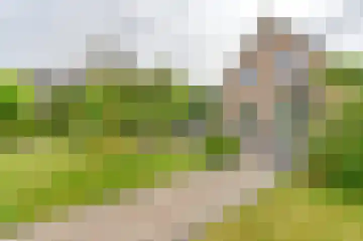 Wollegras 12 Valthermond thumbnail 55