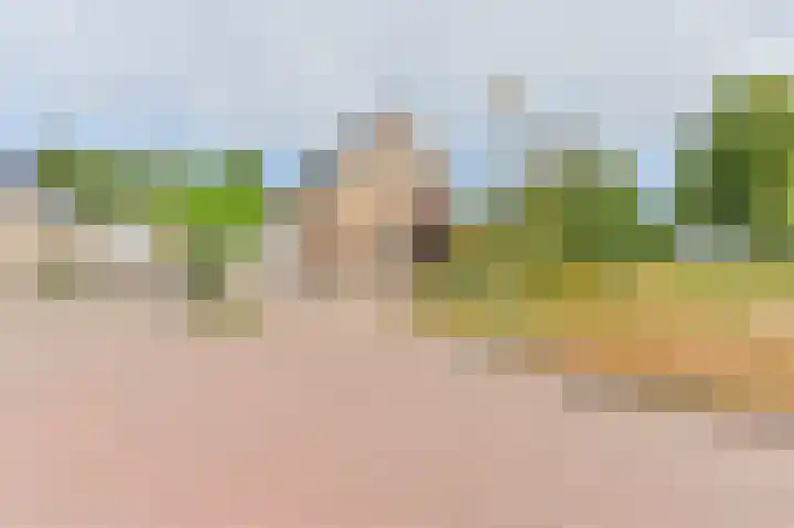 Wollegras 12 Valthermond thumbnail 62